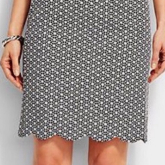 COPY - Talbots petites black and white scallop skirts size 14p - Picture 1 of 10